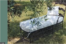 Un bain de soleil qui donne envie de faire la sieste