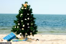 Tradi' ou moderne, blanc comme neige ou coloré, voici 33 décorations pour sublimer votre sapin de Noël 2009...