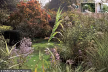 Parfois, on ne sait pas s'y prendre avec son jardin, si modeste soit-il. Et l'on se met à rêver d'un "pro" qui en ferait un petit paradis. Une solution qui a un coût, mais qui peut se révéler précieuse.