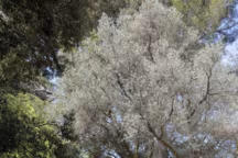 Plus d'info : fauteuil papillon matelassé grande largeur - POP UP XL - BeComfort® Lafuma. Plusieurs coloris au choix. 149,90 euros.