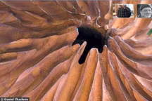 Dans un village haut perché de la montagne dijonnaise, Marc Ricourt réalise des coupes et vases ciselés comme de la dentelle