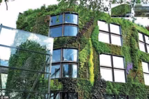 Simple effet de mode " Préoccupation environnementale durable " L'architecture et le végétal se mêlent de plus en plus étroitement dans le paysage urbain. Petite promenade verte