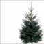 Un sapin Ikea, un geste pour la planète et un bon plan pour moi