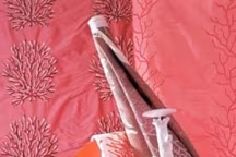 Corail et coquillages : reliefs marins à la maison