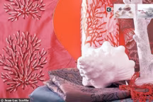 Plus besoin de ramasser des coquillages sur la plage : ils envahissent la déco...