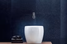 Quoi de neuf dans la salle de bains ?