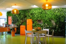 Mur végétal : faites le plein de chlorophylle chez vous