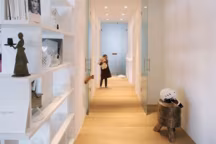 Un appartement blanc comme neige