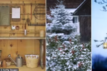 Un jardin s'entretient pendant les quatre saisons, y compris l'hiver ! La preuve en 9 conseils pour prendre soin de votre jardin pendant l'hiver...