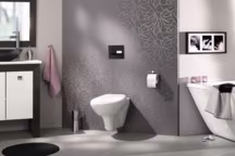 Des WC chic et écolo