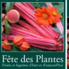 Les 23, 24 et 25 septembre 2011 se tient à Saint-Jean de Beauregard, à quelques kilomètres de Paris, la fête des plantes, fruits et légumes d'hier et d'aujourd'hui. C'est l'occasion de découvrir et de savourer le meilleur du jardin...