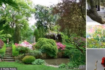 Il faut cultiver son jardin, écrit Voltaire. Les internautes de Visite Privée prennent le philosophe au mot ! Voici leurs plus beaux jardins...