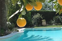 Envie d'une piscine ? Oui, mais... Nos conseils et les questions à vous poser avant de vous lancer dans la construction de votre piscine...