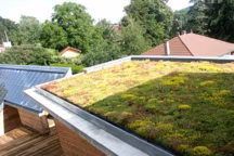 Le mieux est souvent de prolonger une toiture existante, mais une extension peut aussi avoir un toit plat qui lui confère une touche de modernité. Surtout si c'est un toit végétal...