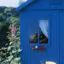Ma cabane de jardin peinte en bleu