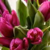 Beautiful bouquet of purple tulips