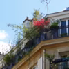 Balcon en ville - création du paysagiste Gaston Bintener de Parisbalcon.com