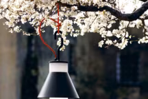 Chez Martinelli Luce, voilà plus de 50 ans que l'on crée des lampes de père en fille. En proposant " Pistillo », la firme italienne revisite avec une grande modernité la traditionnelle lampe tempête. On aime son cordon orange, la touche de couleur ultramoderne + son crochet pour la fixer où bon nous semble + son " pistil » pour la planter là où on ne peut pas l'accrocher. Design Emiliana Martinelli, éclairage fluorescent, Ø 28 x H 35 cm, 264 euros, Martinelli Luce.