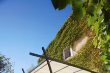 Quelle pergola pour votre bien-être ?