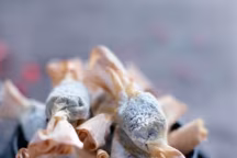 10 idées pour présenter vos gourmandises pendant les fêtes