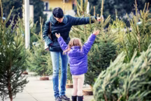 Où acheter son sapin de Noël