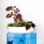Un aquarium très design