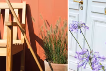 Nouvelle collection 2012 V33