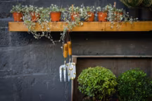 Set outils de jardinage WILD & WOLF. 25,90 euros.