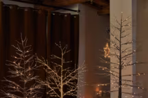 Arbre de Noël lumineux Djeva, en plastique recouvert de papier décor marron, fonctionnement LED, existe aussi en blanc, 109,99 euros le modèle de 180 cm de hauteur, et 199,99 euros le modèle de 240 cm de hauteur.