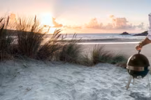 Barbecue Billy en acier émaillé noir et chromé - Prix : 69 euros