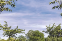 Direction le Berry pour la recréation du domaine de Poulaines.