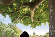 Barbecue à gaz Léon 570, en acier émaillé, 499 euros.