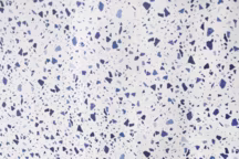 [Instant déco] Le grand retour du terrazzo