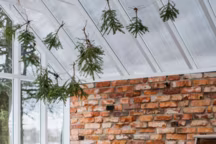 Des intérieurs cosy dans lesquels on passerait bien Noël