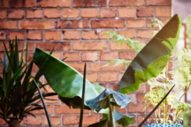 Cache-pot Sommar 2018 en plastique polyéthylène, cadre en acier, revêtement polyester en poudre - Prix : à partir de 6,99 euros