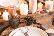 Assiette plate cerf en porcelaine, 27 cm, 6,99 euros. Maisons du monde.