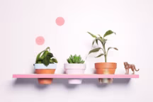 Inspirations murales de Céline Amico aux éditions Eyrolles.