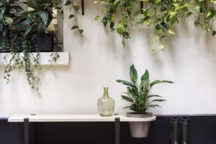 Banc Valpo en pin des landes : 150 X 35 cm, pieds de 40 cm Kaki, vert Menthe ou Vert Pastel - 229 euros, Tiptoe