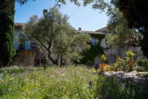 Escapade à Avignon le temps d'un week-end