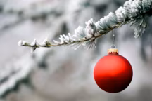 Erreur déco : Halte à la déco extérieure kitschissime !