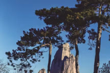 Dans la zone Sahel-Soudan du Parc Zoologique de Paris, un oryx algazelle devant le Grand Rocher, une construction iconique, plus de 65 mètres de haut, et seul élément conservé du parc de 1934.