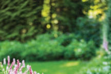 Gamme RC. Surface maximale recommandée : 1200 m2. Largeur de coupe : 28 cm. Hauteur de coupe : 15 ? 60 mm. Mowing Power : 200 W. Pentes : 36 %. Nombre de zones : 6. Temps de charge : 70-90 min. Durée moyenne de Travail : 60 ?70 min. GSM, Roues puissantes, capteurs de pluie, sécurité enfants, code PIN, roues motrices, smartmow, turbomow, appli robomow. Moteurs : DC Brushless. Batterie 26V (LiFeP04). Consommation d?énergie : 18kWh/mois. Niveau sonore : Mode ECO : 64 dB. Charge élevée : 67,9 dB. 1949 euros. Robomow.