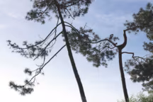 Les plus belles terrasses de Côté Ouest