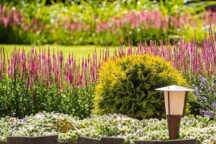 Bordure de jardin pour allée