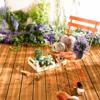 Poser une terrasse en bois : les 5 regles a savoir