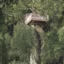 Une cabane perchée dans un arbre