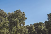 Meubles de jardin, Ethimo