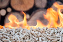 On vous teste sur... le chauffage au bois