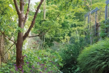 Petits jardins actuels, Concevoir des espaces plus naturels et durables de Noel Kingsbury, aux éditions Ulmer