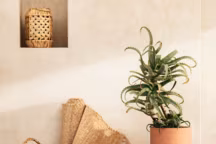 De gauche à droite : panier de rangement rigide en jonc de mer tressé. Modèle avec deux poignées en haut. Dimensions 15 x 25 x 30 cm. Prix 14,99 euros. / Panier de rangement de forme cylindrique en papier renforcé. Diamètre 22 cm, hauteur 25 cm. Prix : 5,99 euros. / Petit panier de rangement tressé en herbe à éléphant. Diamètre 21 cm, hauteur 21 cm. Prix : 9,99 euros. Le tout chez H&M Home.